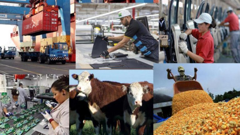 Actividades Economicas De Guadalajara Y Zapopan