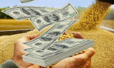 El BCRA comunicó un “dólar agro” para que el campo liquide la soja