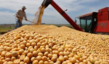 Advierten que la sequía provocó un «gran deterioro» en los cultivos de soja y maíz