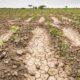 AFIP estableció requisitos para que afectados por la sequía puedan acceder a beneficios