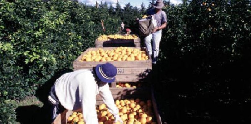 La UART alerta los riesgos de la actividad agropecuaria en Tucumán