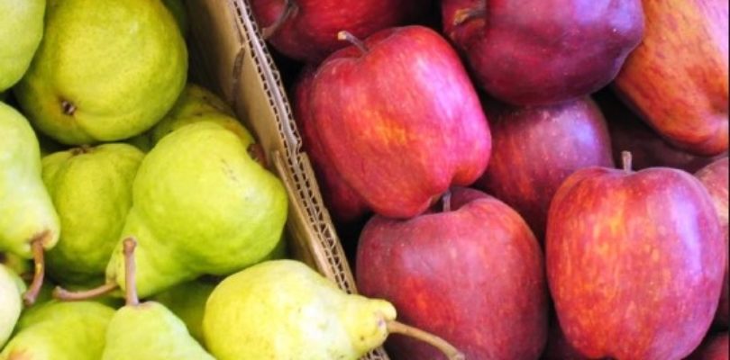 Brasil interrumpió las exportaciones de peras y manzanas argentinas