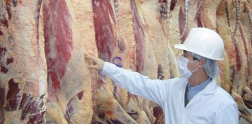 China se transformó en el principal país importador de carne argentina