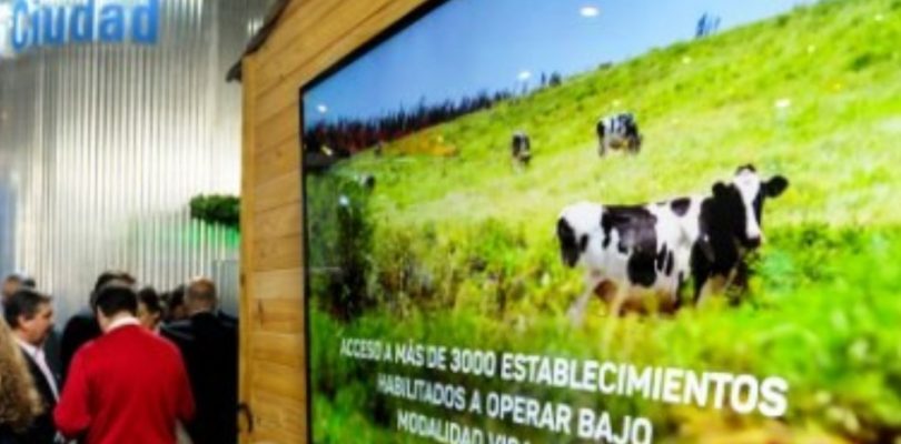 Rural 2019: expectativas por nuevos beneficios para la agroindustria