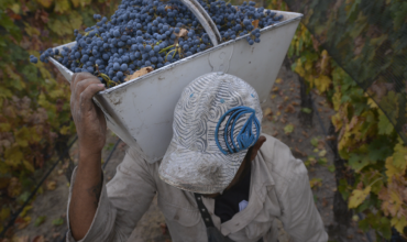 Bajan retenciones a las exportaciones agrícolas de economías regionales