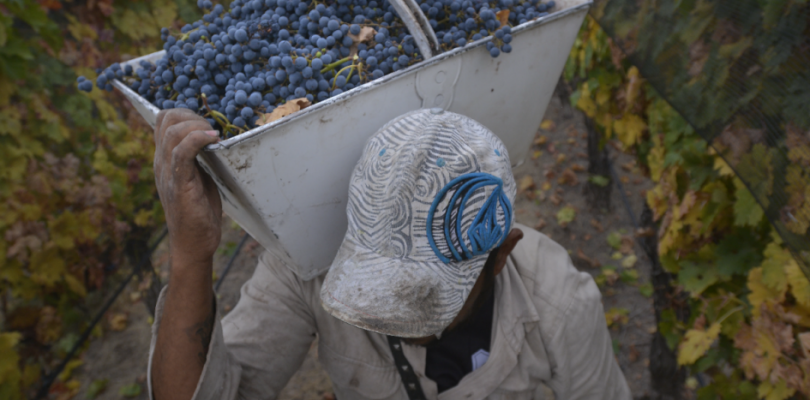 Bajan retenciones a las exportaciones agrícolas de economías regionales