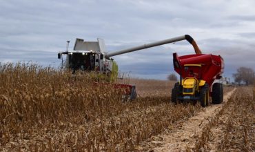 Impulsada por el campo, la actividad económica avanzó 0,6% en el segundo trimestre