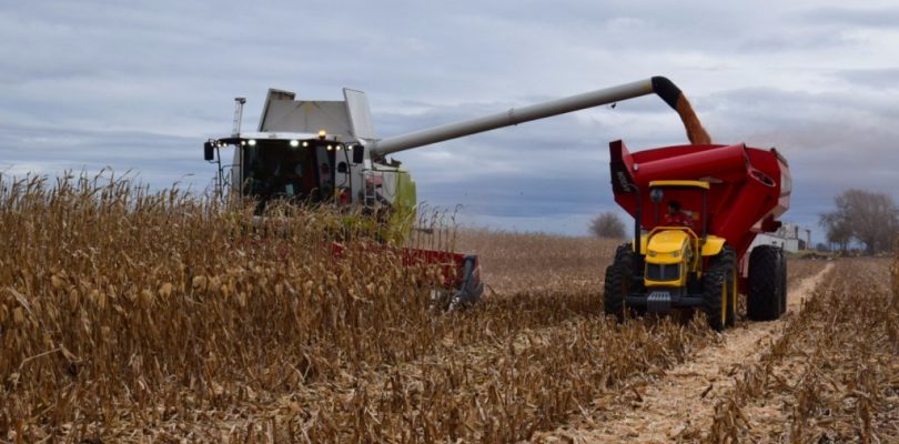 Impulsada por el campo, la actividad económica avanzó 0,6% en el segundo trimestre