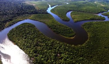 Natura compra bonos verdes del Parque Solar Ullum