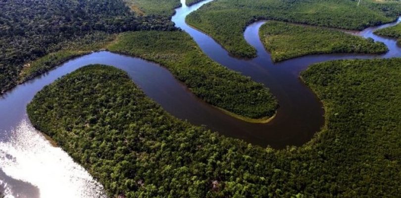 Natura compra bonos verdes del Parque Solar Ullum