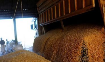 La AFIP desarticuló una millonaria maniobra de evasión con 1637 toneladas de cereales