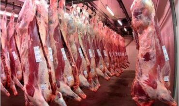 Establecen nuevos parámetros para la exportación de carne de res