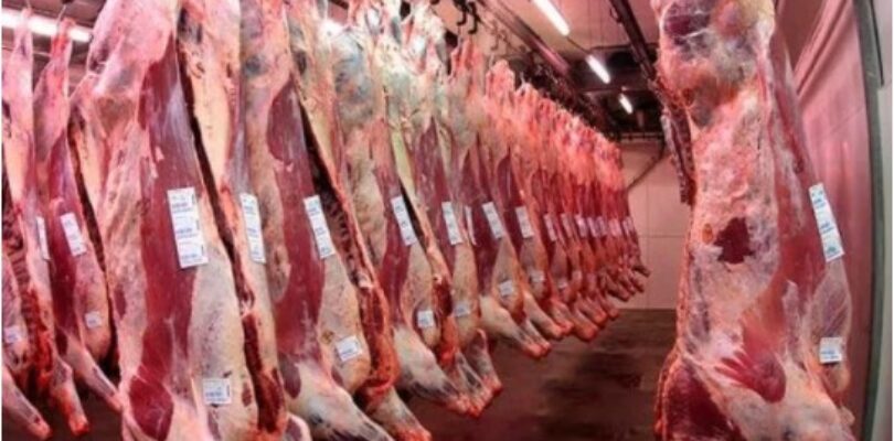 Establecen nuevos parámetros para la exportación de carne de res