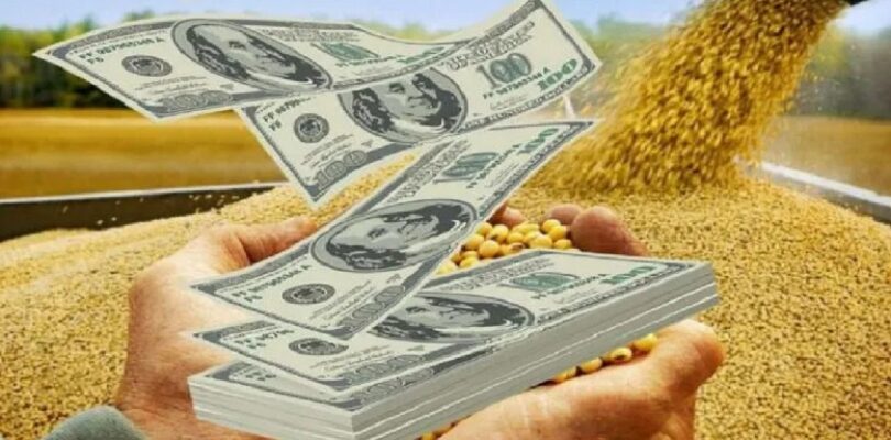 El BCRA comunicó un “dólar agro” para que el campo liquide la soja