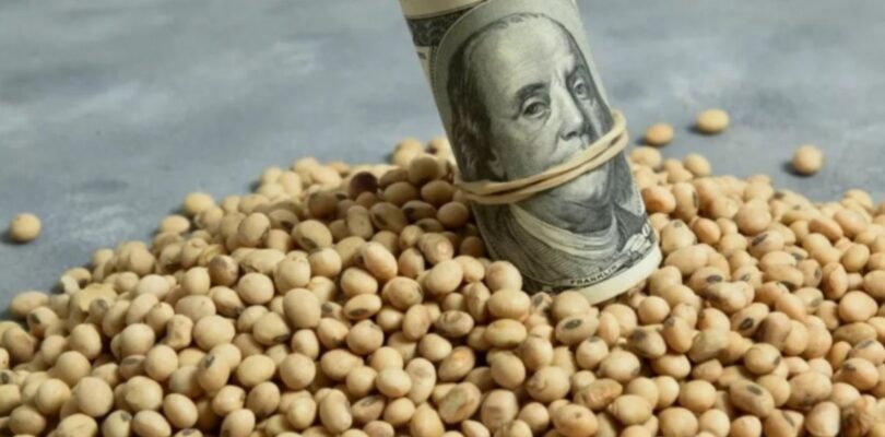 Se anunció un nuevo dólar de $200 para los productores de soja