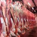 El Gobierno suspendió las exportaciones de carnes por 15 días