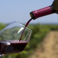 Fuerte crítica de la industria del vino al aumento de retenciones a exportaciones