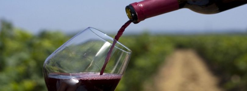 Fuerte crítica de la industria del vino al aumento de retenciones a exportaciones