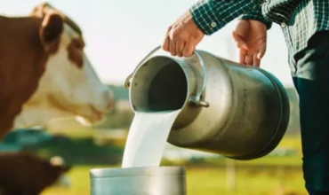 El Gobierno lanzó una línea de créditos que se podrán pagar con soja y leche