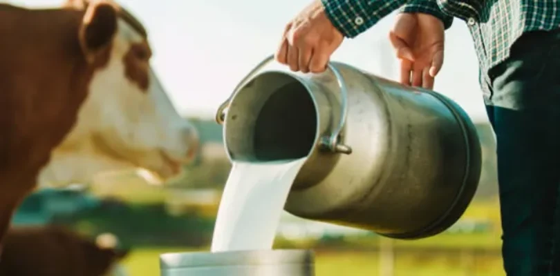 El Gobierno lanzó una línea de créditos que se podrán pagar con soja y leche