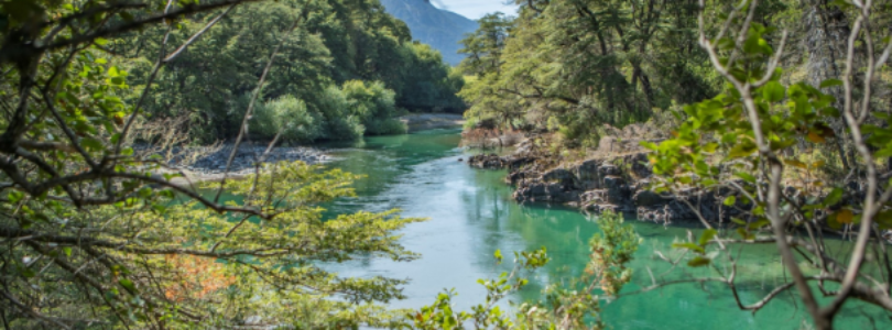 “US$2.000 para una excursión que no debiera salir más de US$50”: el Gobierno desreguló el turismo en parques nacionales