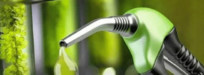 Biocombustibles: aumentan hasta un 5% y podría impactar en los surtidores