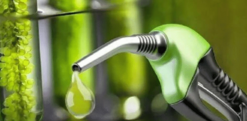 Biocombustibles: aumentan hasta un 5% y podría impactar en los surtidores