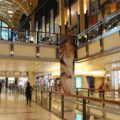 De qué se trata «Días de Yapping», una iniciativa que ofrece descuentos de hasta el 50% en centros comerciales
