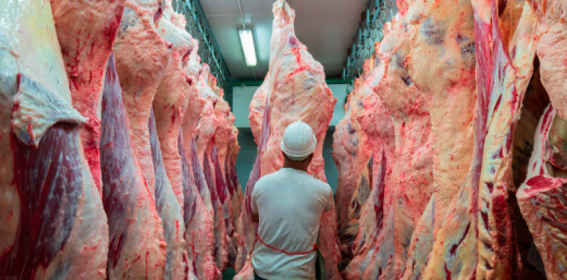 EE.UU. cuadruplicó la cuota para importar carne vacuna desde Argentina y llegará a 80.000 toneladas anuales