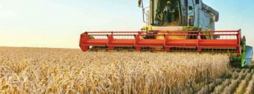 El Gobierno oficializó la baja de las retenciones: qué productos incluye y cómo quedan las alícuotas