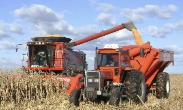 La actividad económica tuvo un leve crecimiento en mayo: qué sectores impulsaron el alza