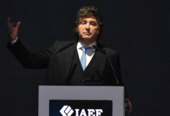 Milei descartó una flexibilización de su política económica y dijo que va a “redoblar la ortodoxia”