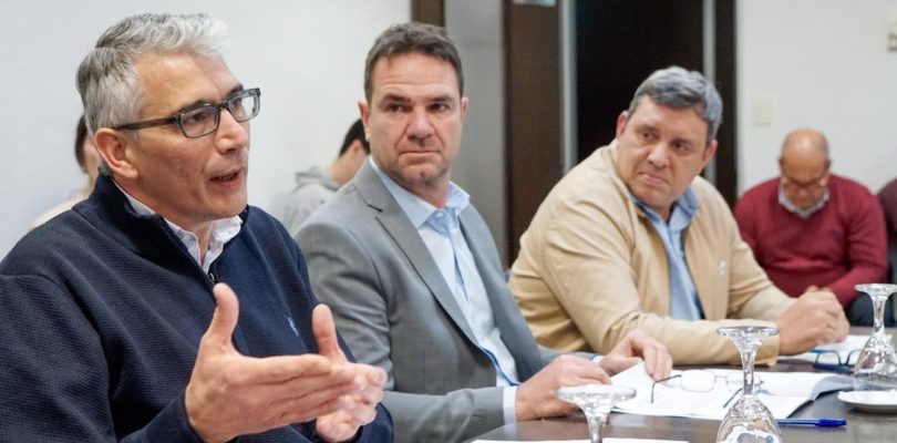 Pistolas Taser: qué establece el proyecto del Frente Renovador que avanzó en la Legislatura bonaerense